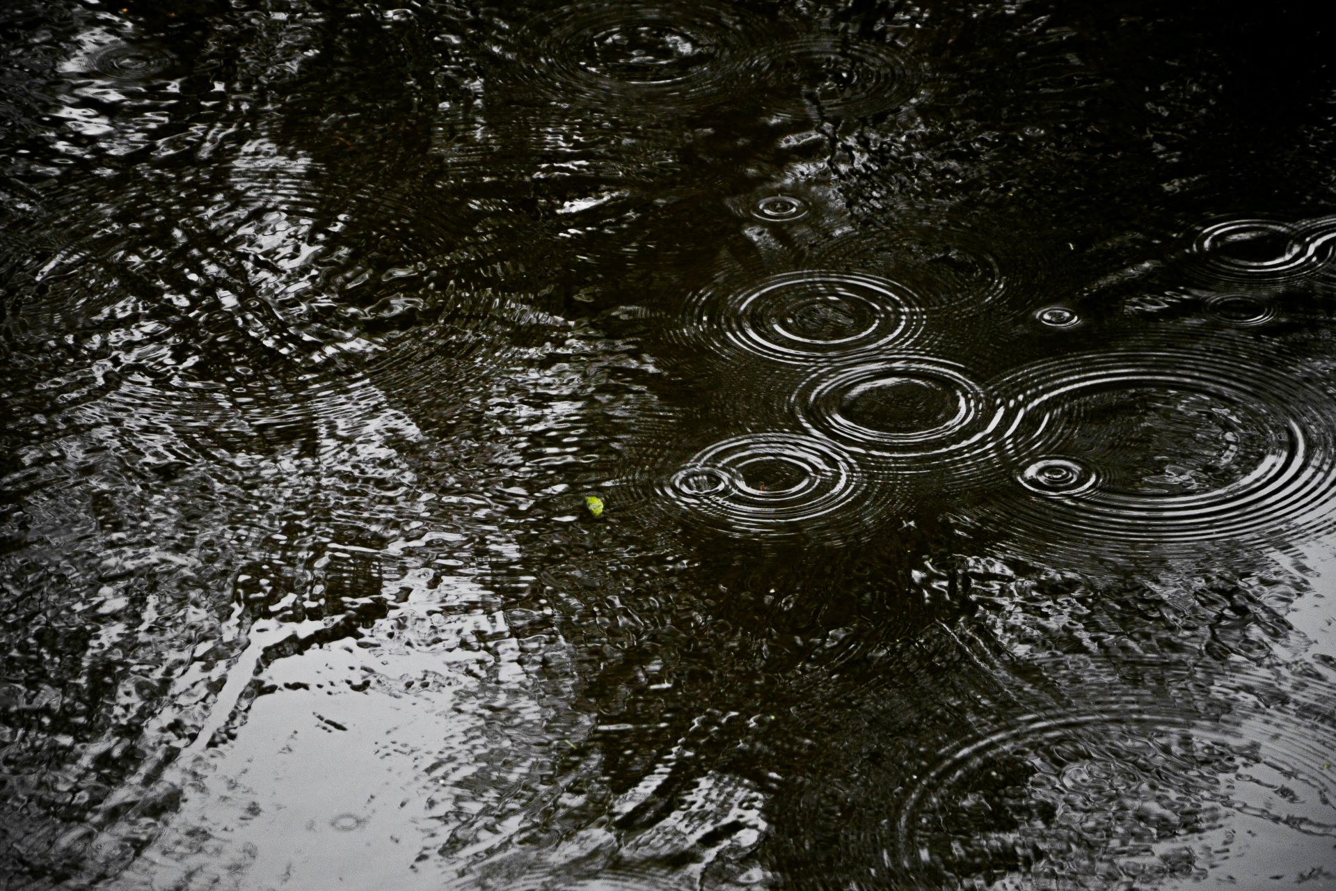 Drain Blockages & Water Damage in Durban